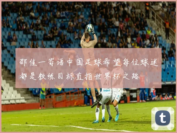 邵佳一寄语中国足球希望每位球迷都是教练目标直指世界杯之路