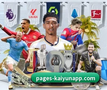 开云体育 APP - KaiyunSports