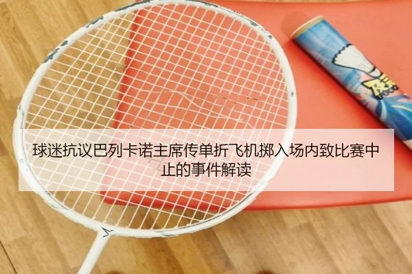 球迷抗议巴列卡诺主席传单折飞机掷入场内致比赛中止的事件解读 - KaiyunSports